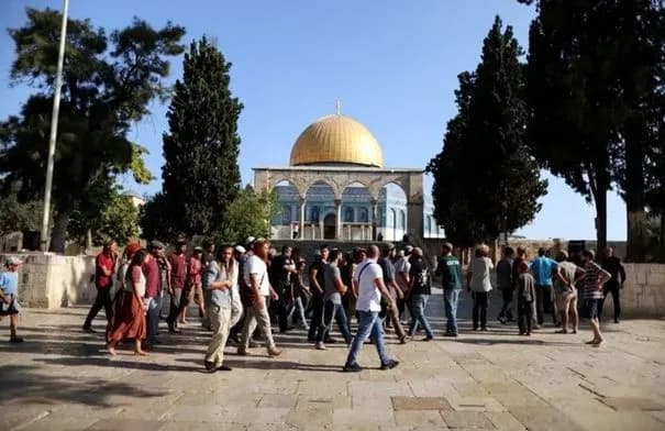 مستوطنون يقتحمون الأقصى ويعتدون على ممتلكات الفلسطينيين بالضفة