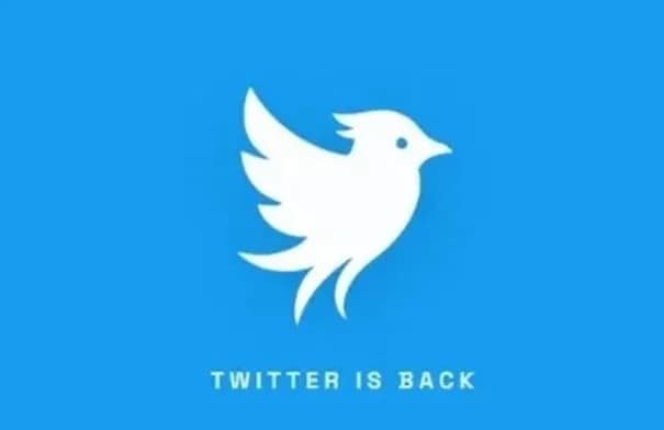 منصة "Twitter.now" الجديدة تعيد إحياء اسم تويتر بمزايا تركز على الثقة