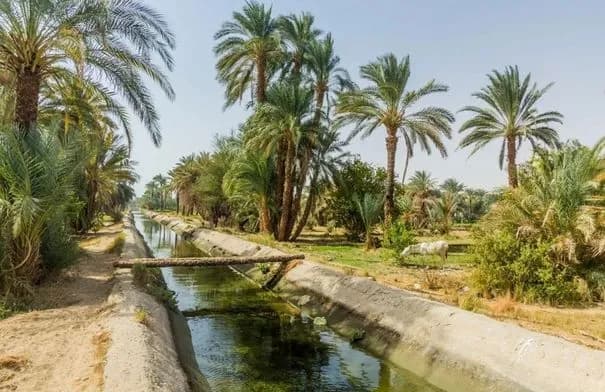مصر.. وفاة أم وابنها وإصابة طفلين إثر إلقاء أنفسهم في ترعة بأسوان