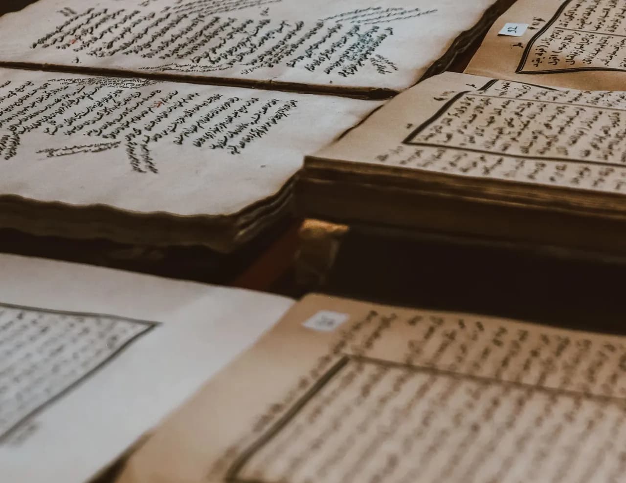 كيف تموت اللغات وماذا يحدث لأهلها؟