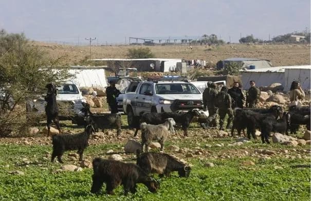 بتسيلم: 47 عائلة فلسطينية مهددة بالتهجير بعد قطع المياه عنها في شمال غور الأردن