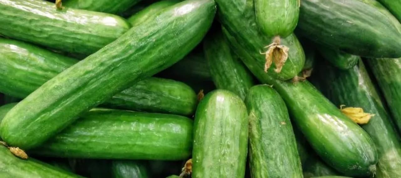 أسعار الخضار والفواكه في سوق الجملة المركزي بعمّان اليوم