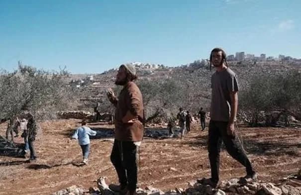 إصابات فلسطينية بهجمات مستوطنين في نابلس وبيت لحم وتجريف في رام الله