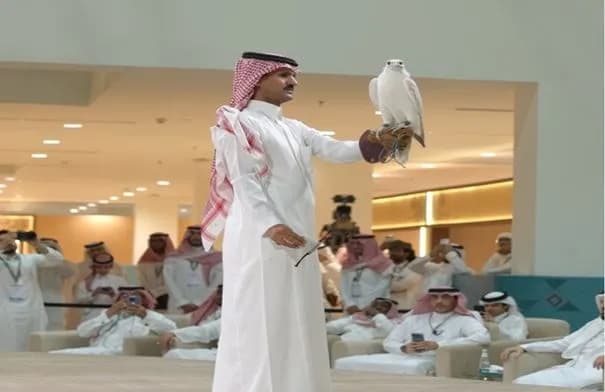 صقر كندي يحقق أعلى سعر في مزاد الصقور السعودي هذا العام