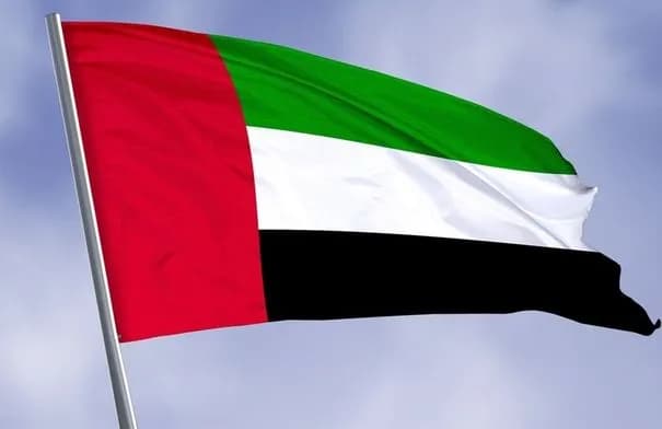 الإمارات تدين استهداف ناقلتين تابعتين لأدنوك في مضيق هرمز