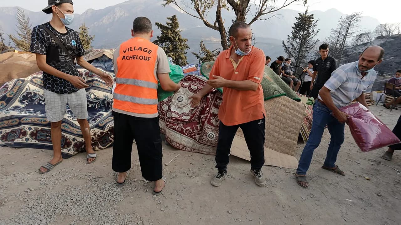 أبو هنية يعزي الجزائر بضحايا الحرائق ويؤكد وقوف الأردن إلى جانبها