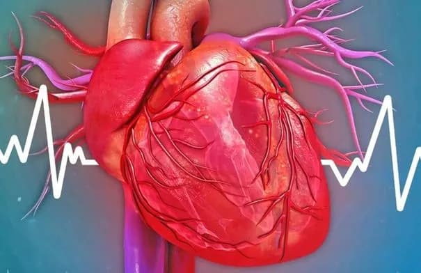 أربع عادات يومية تدمر صحة القلب.. تعرف عليها