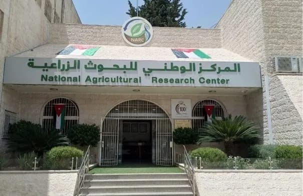 مشروع بحثي أردني لتقييم الدورة الزراعية والسماد الأخضر في الخالدية
