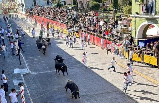 مقتل شخصين وإصابة 11 في هجوم ثيران خلال مهرجان بالمكسيك