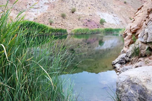 تعيين محسن رضائي أمينًا لمجلس الأمن القومي الإيراني خلفًا لذو القدر