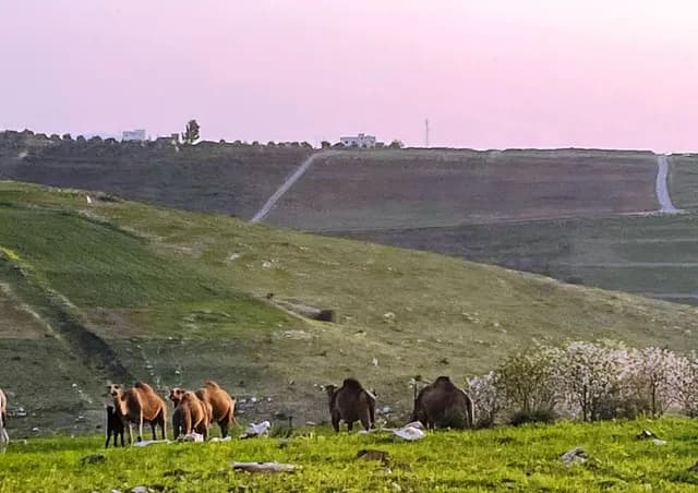 الأردن: أجواء صيفية عادية الجمعة وارتفاع طفيف على الحرارة الأحد