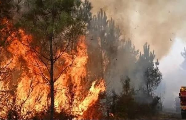 إجلاء آلاف السكان مع اتساع حرائق الغابات غرب كندا