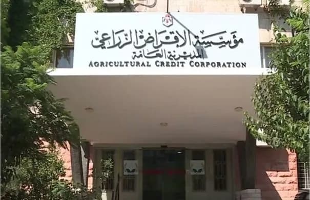 480 مقترضًا استفادوا من قروض زراعية بقيمة 2.6 مليون دينار في البادية الشمالية