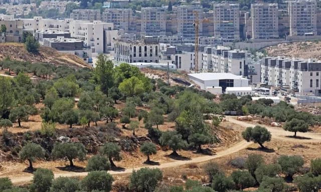 الأردن وسبع دول عربية وإسلامية يرحبون بقرار بريطانيا حظر استيراد منتجات المستوطنات