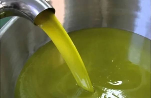 الزراعة الأردنية تحذر من صفحات مغشوشة لبيع زيت الزيتون وتدعو للشراء من المعاصر الموثوقة