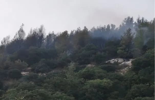 الدفاع المدني يسيطر على حريق في جبل طرون بساكب أتى على 25 دونما