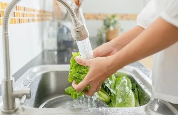 خبراء: غسل الفواكه والخضار بالماء لا يقضي على كل الجراثيم