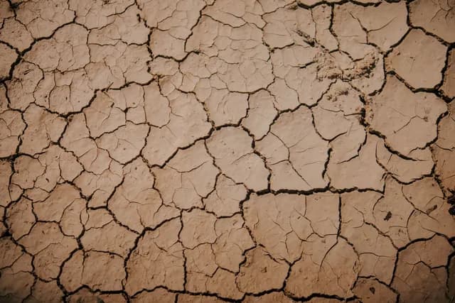أغسطس يسجّل أعلى حرارة على الإطلاق مع تفاقم تغير المناخ وتأثير النينيو