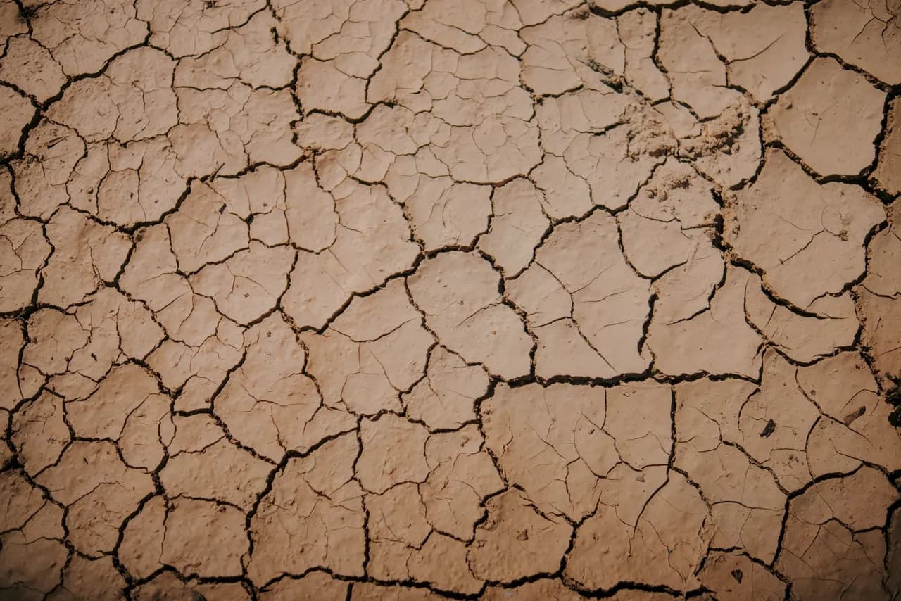 أغسطس يسجّل أعلى حرارة على الإطلاق مع تفاقم تغير المناخ وتأثير النينيو