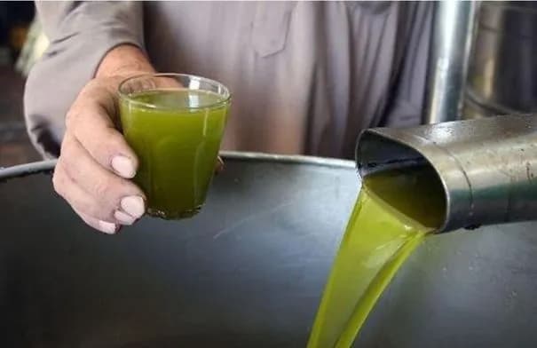 رقابة مكثفة على معاصر الزيتون في الطفيلة قبل انطلاق موسم العصر