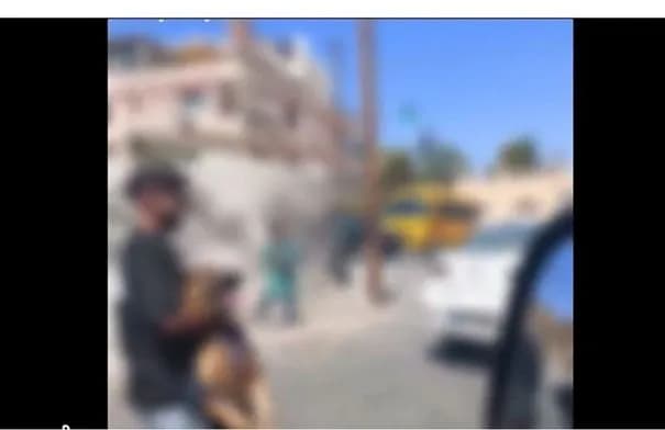 ضبط شابين روّعا طالبات بكلاب بوليسية أمام مدرسة في عمّان