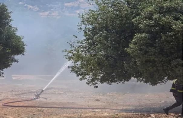 حريق كبير يلتهم عشرات الدونمات من الأشجار الحرجية بين جرش وعجلون