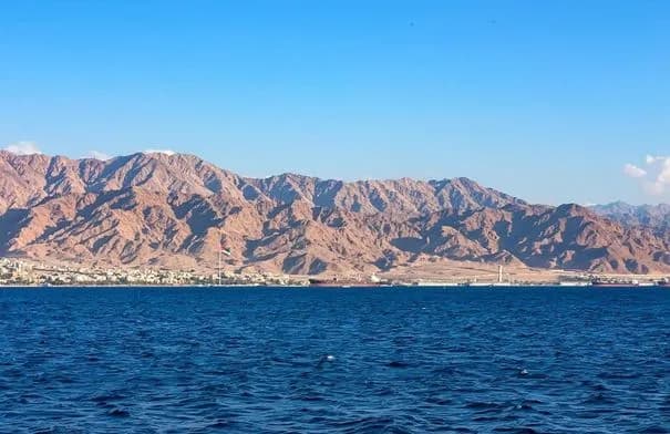القطامين: الناقل الوطني يعكس سياسة الحكومة نحو توفير وظائف للأردنيين