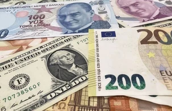 الليرة التركية تهبط إلى أدنى مستوى تاريخي مع بلوغ الدولار 49 ليرة