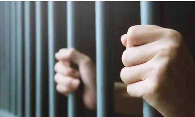 الأمن العام يلقي القبض على شخص تركَ كلبين ينهشان قطة في الشارع