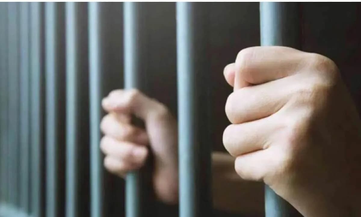 الأمن العام يلقي القبض على شخص تركَ كلبين ينهشان قطة في الشارع