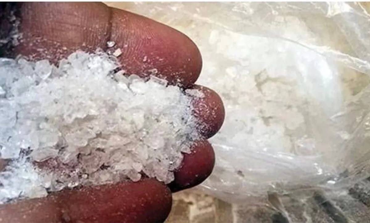 حملة الكريستال: 142 قضية و222 موقوفًا في الأسبوع السابع