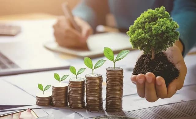 خبراء: التمويل الأخضر بوابة الأردن لاستقطاب استثمارات دولية وتعزيز النمو
