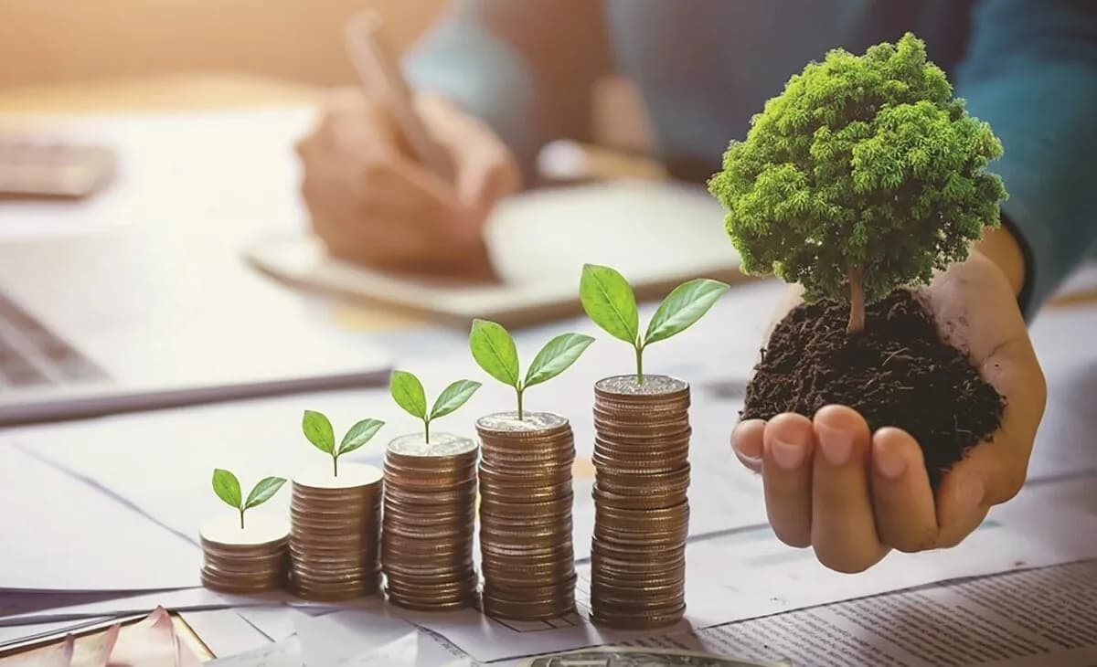 خبراء: التمويل الأخضر بوابة الأردن لاستقطاب استثمارات دولية وتعزيز النمو
