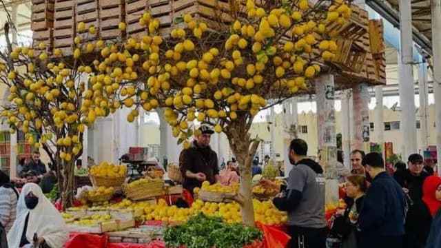 تونسيون يتضامنون مع بائع ليمون بعد قرار إزالة ديكوره الفني في السوق المركزية