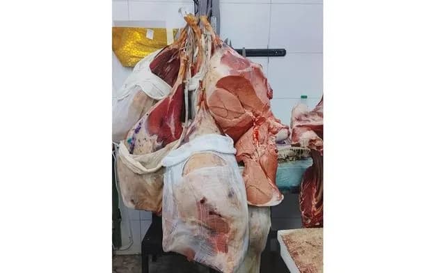 بلدية الكرك تضبط 188 كغم من لحوم عجل أفريقي منتهية الصلاحية