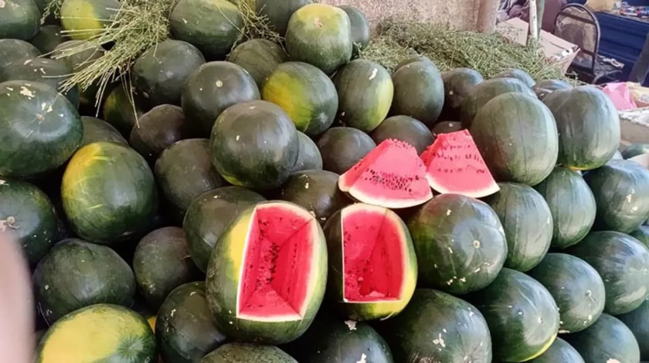 أسعار الخضار والفواكه في سوق الجملة المركزي اليوم السبت